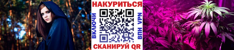 Шишки марихуана семена  Купить  Семикаракорск 